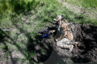 Ukraine military drone operators on front line