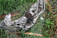 Russians use Shahed Kamakazi drones on Odesa