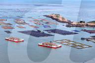 Marine Ranch