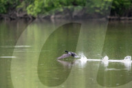 Pollution In Ohio