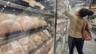 Avian Flu In Brazil