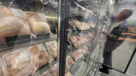 Avian Flu In Brazil