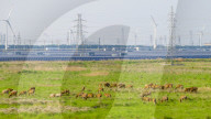 PV Energy Industry