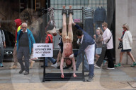 PETA Anti-Leather Display