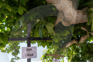 Freixenet Workers Protest In Barcelona.