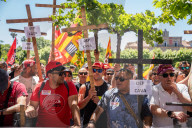 Freixenet Workers Protest In Barcelona.