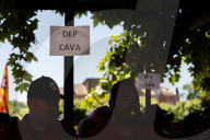 Freixenet Workers Protest In Barcelona.