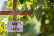 Freixenet Workers Protest In Barcelona.