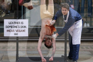 PETA Anti-Leather Display