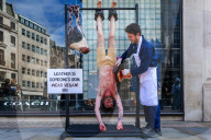 PETA Anti-Leather Display
