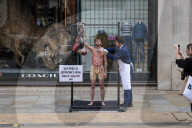 PETA Anti-Leather Display