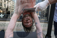 PETA Anti-Leather Display