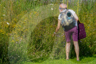 Woman Picking Wildflowers In Summer Meadow