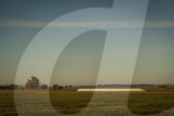 Grain Bags Storing Soybean In Argentina