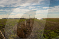 Grain Bags Storing Soybean In Argentina