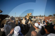 Giza Camel Market Ahead Of Eid Al Adha