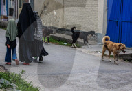 Daily Life In Kashmir 