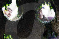 Native Olympia Oysters fair well against global warming