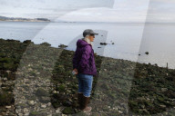 Native Olympia Oysters fair well against global warming