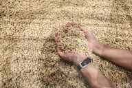 World Of Coffe Jakarta 2025 In Indonesia