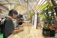 World Of Coffe Jakarta 2025 In Indonesia