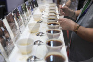 World Of Coffe Jakarta 2025 In Indonesia