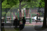 Man Fatally Shot In The Head Inside Of Playground At Crotona Park