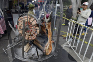 Taco Fair 2025 Mexico