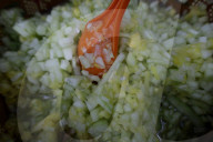 Taco Fair 2025 Mexico