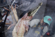 Taco Fair 2025 Mexico