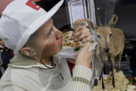 Taco Fair 2025 Mexico