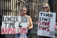 Protest after 37 dead dogs found at 'Save A Paw UK' so-called rescue center