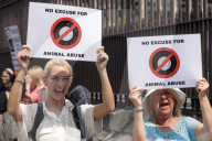 Protest after 37 dead dogs found at 'Save A Paw UK' so-called rescue center