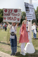 Protest after 37 dead dogs found at 'Save A Paw UK' so-called rescue center