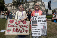 Protest after 37 dead dogs found at 'Save A Paw UK' so-called rescue center