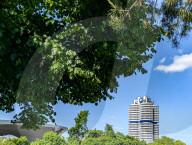 BMW Headquarters Behind Summer Foliage In Munich