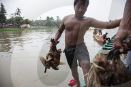 Peh Cun Festival 2025