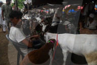 India Eid Al Adha