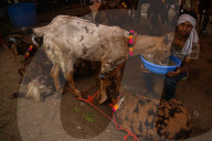 India Eid Al Adha