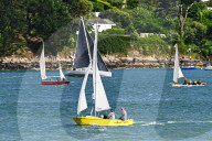 Semaine Du Golfe