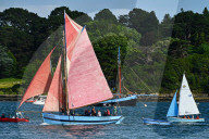 Semaine Du Golfe