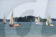 Semaine Du Golfe