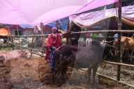 Eid Al-Adha Preparation In India