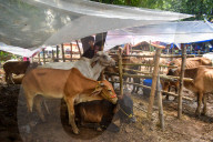 Eid Al-Adha Preparation In India