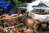 Eid Al-Adha Preparation In India