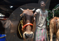 Eid Al-Adha Preparation In India