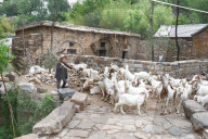 Ancient Village