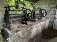 Rubber Tapping In Kerala