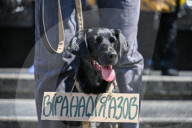 Rally in support of Ukrainian POWs in Lviv