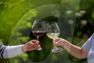 'Burgundy eat your heart out!': Devon producer, Lyme Bay Winery, is toast of wine world.